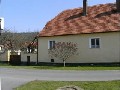 Foto 339