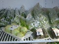 Foto 159